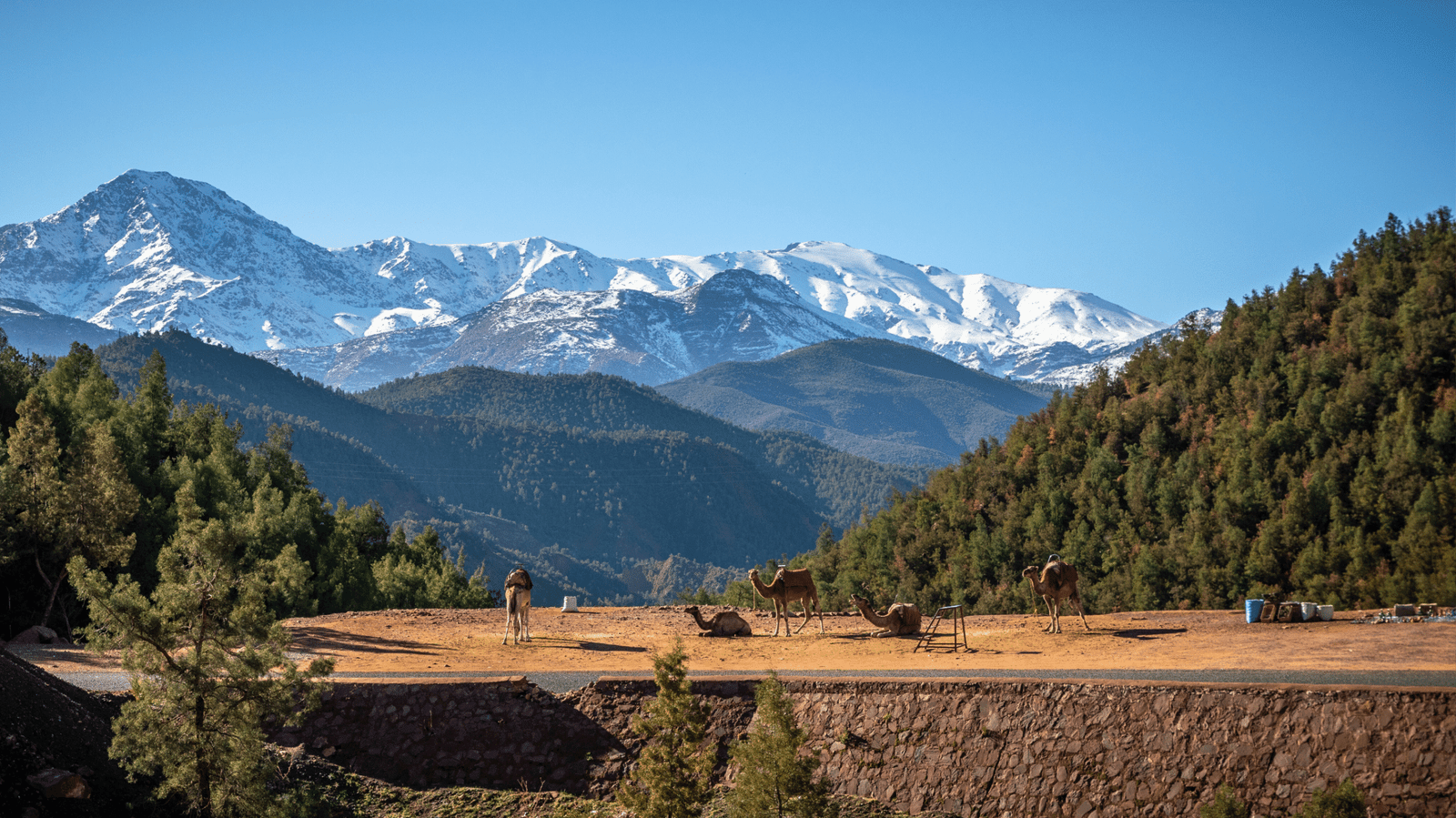 Atlas. Mountain View Scaled