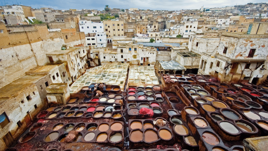 fes tannaries old city