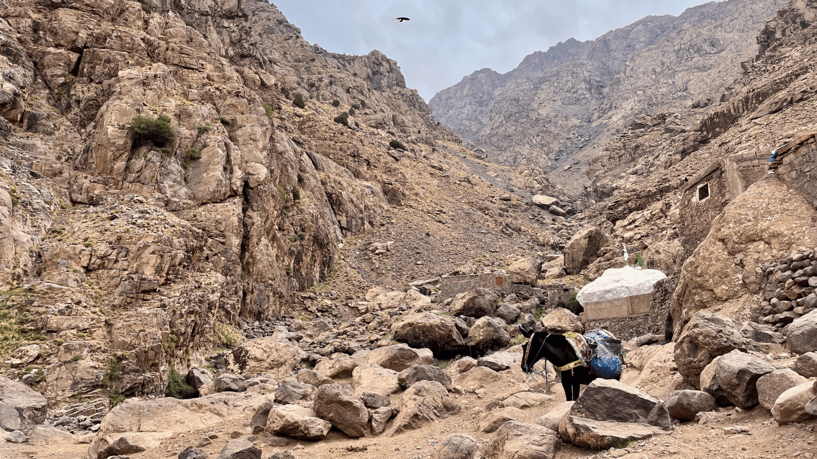 trekking toubkal