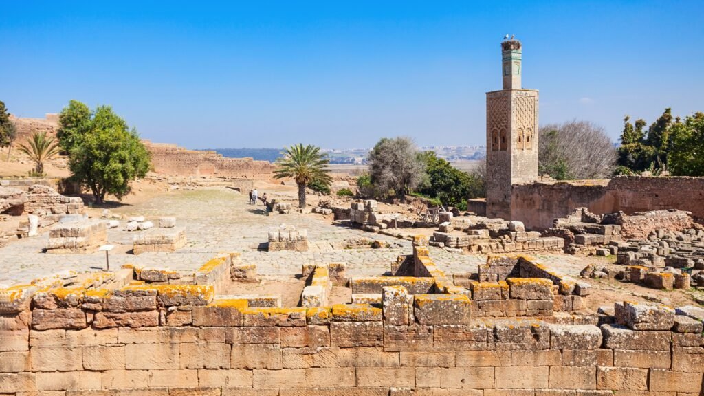 chellah -ruins -rabat- morocco