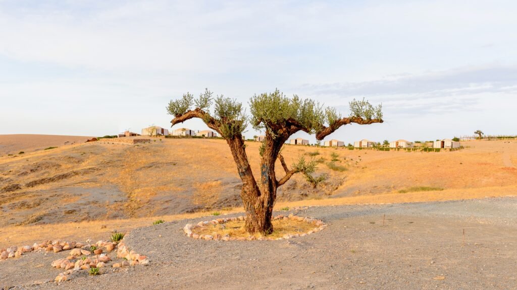 Terres Des Etoiles 1024x576